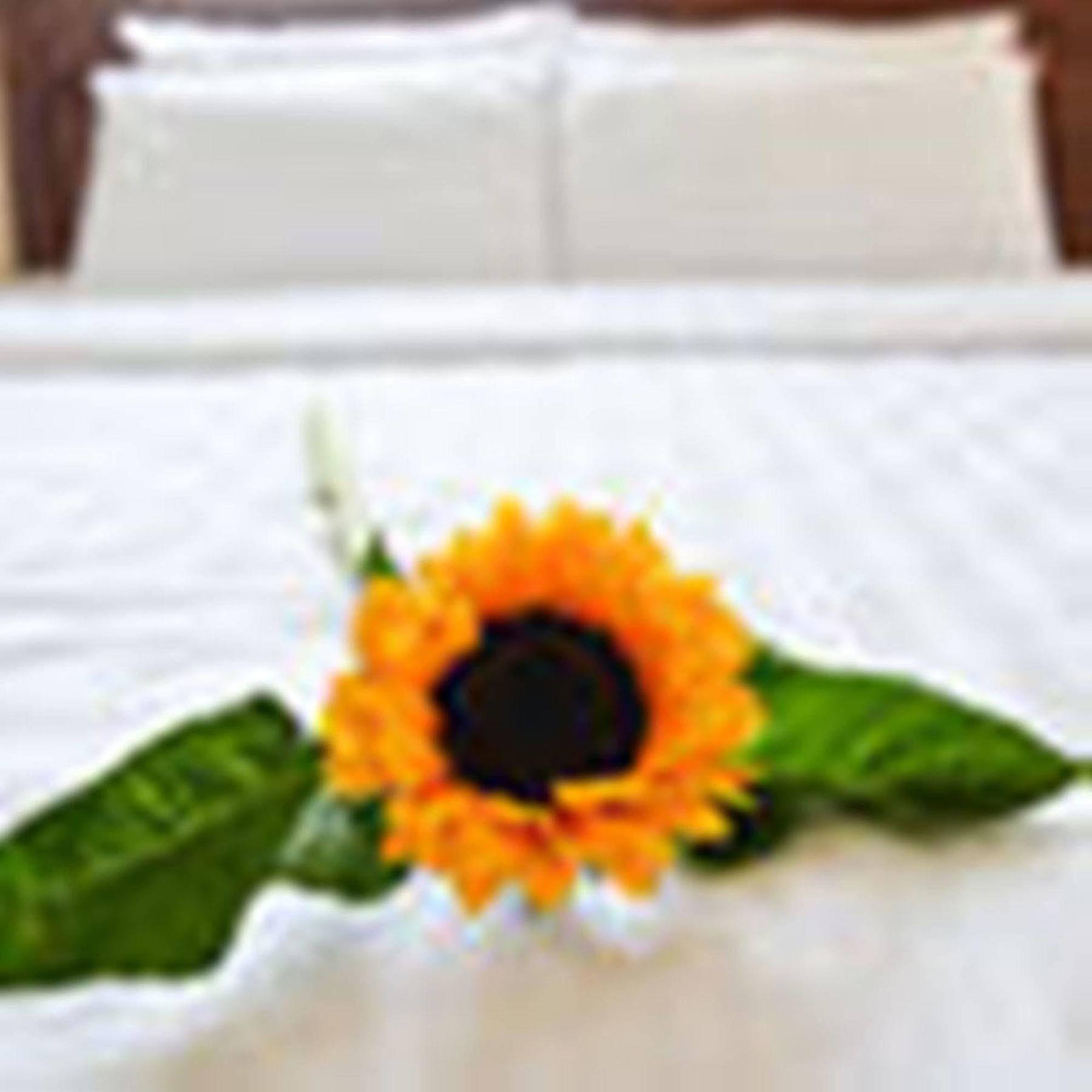 Fulmar Hotel Da Nang Exterior foto